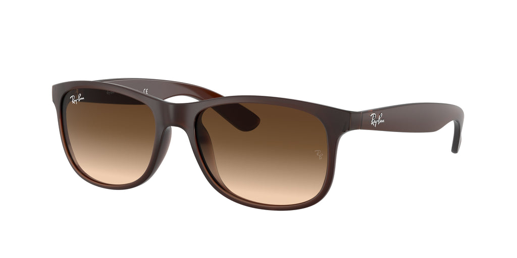 RB4202 - 607313 sunglasses - view 1