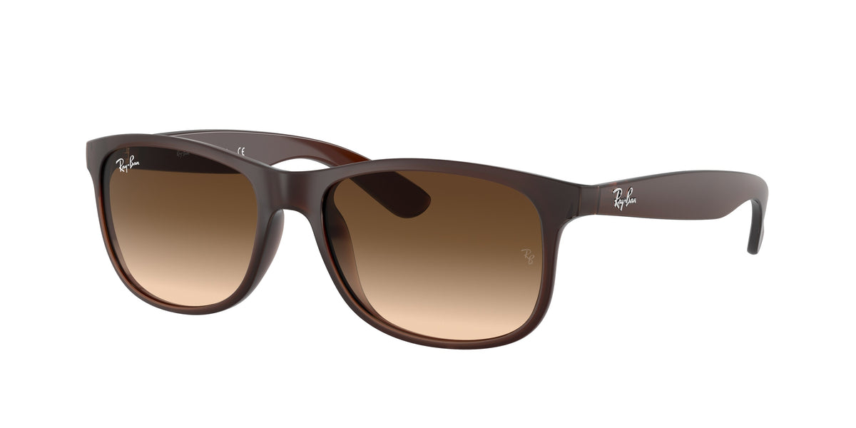 RB4202 - 607313 sunglasses - view 1