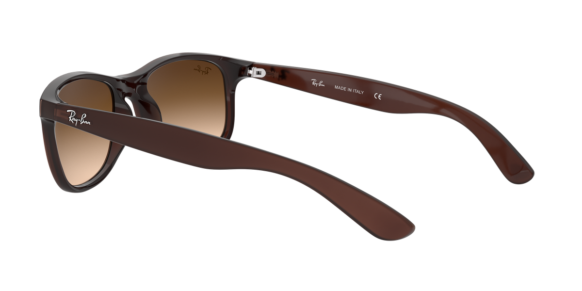 RB4202 - 607313 sunglasses - view 6