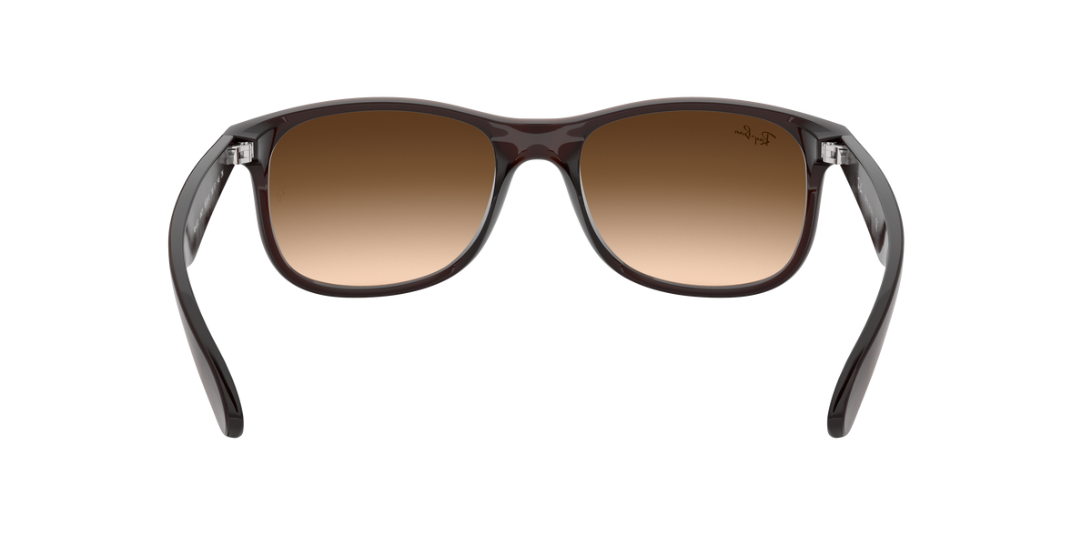 RB4202 - 607313 sunglasses - view 8