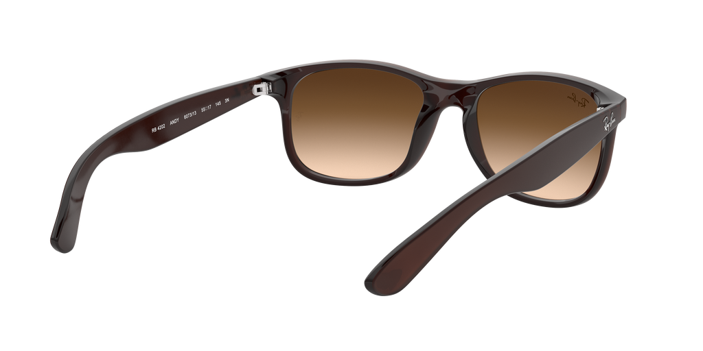 RB4202 - 607313 sunglasses - view 9
