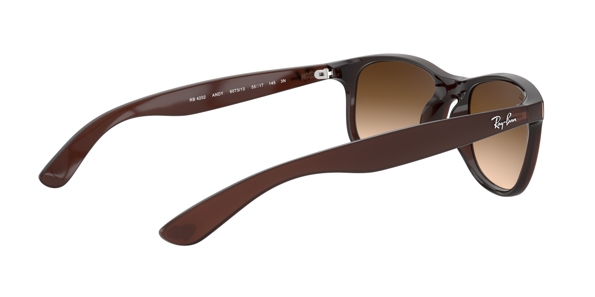 RB4202 - 607313 sunglasses - view 10