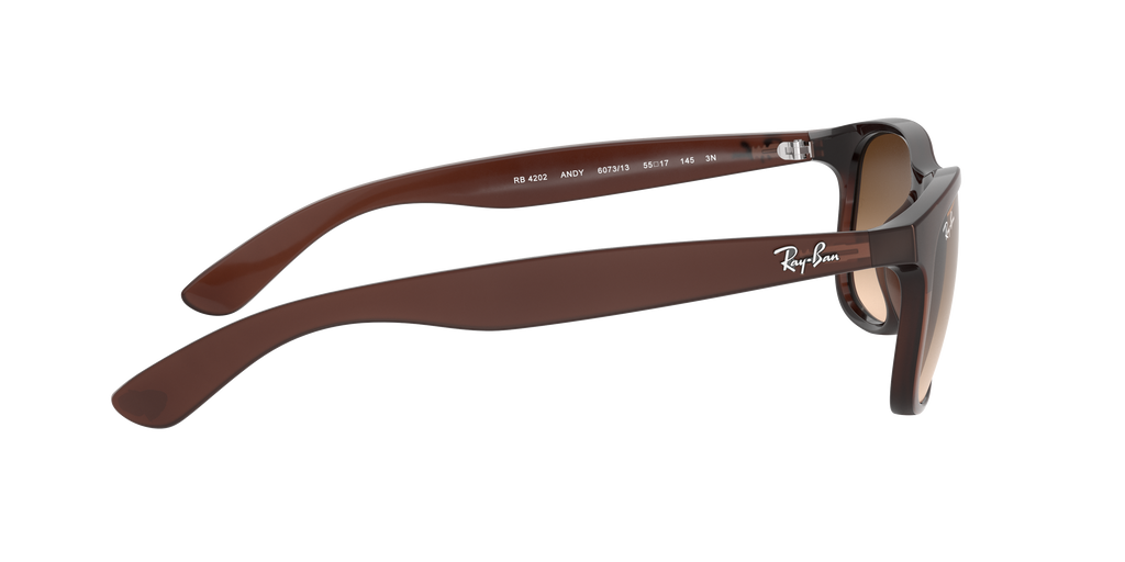 RB4202 - 607313 sunglasses - view 11