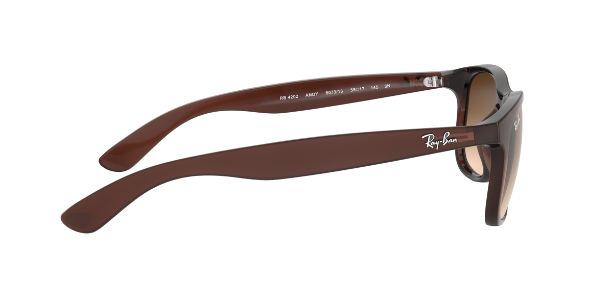 RB4202 - 607313 sunglasses - view 11
