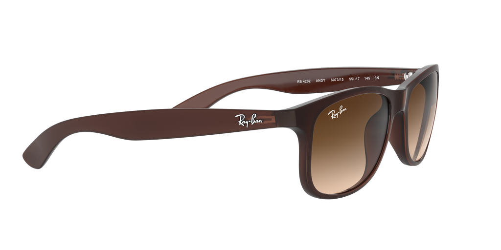 RB4202 - 607313 sunglasses - view 12