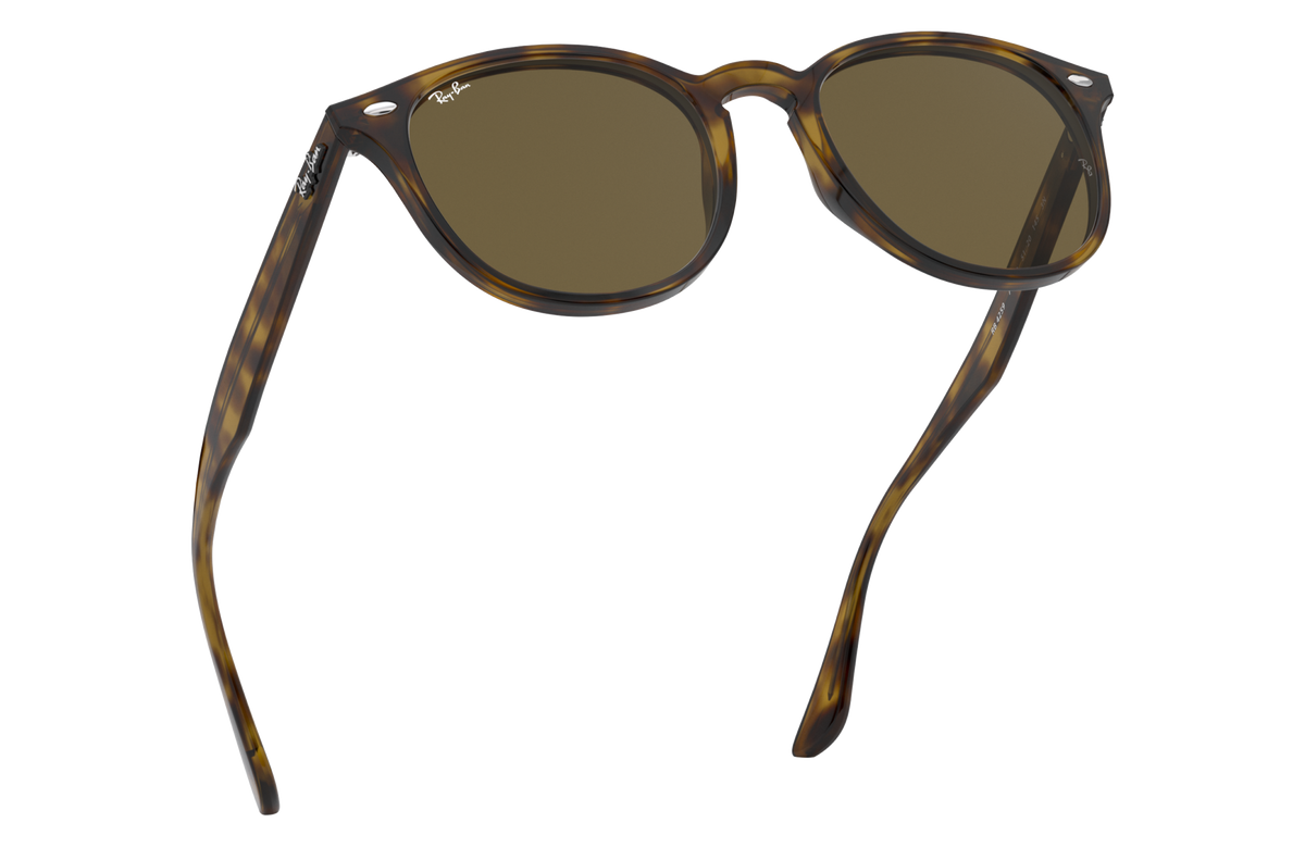 RB4259 - 710/73 sunglasses - view 15
