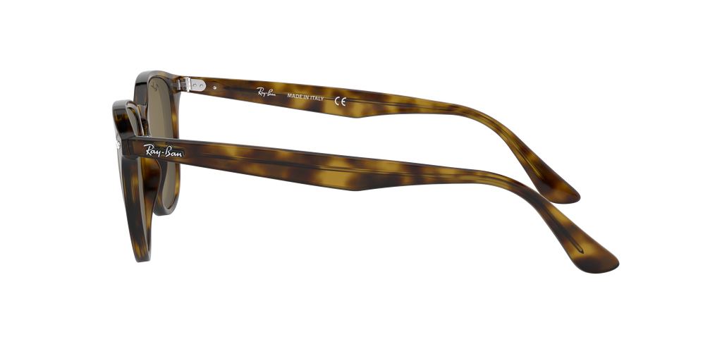 RB4259 - 710/73 sunglasses - view 5