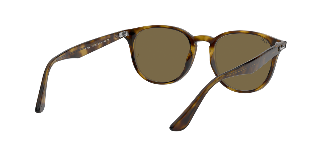 RB4259 - 710/73 sunglasses - view 9