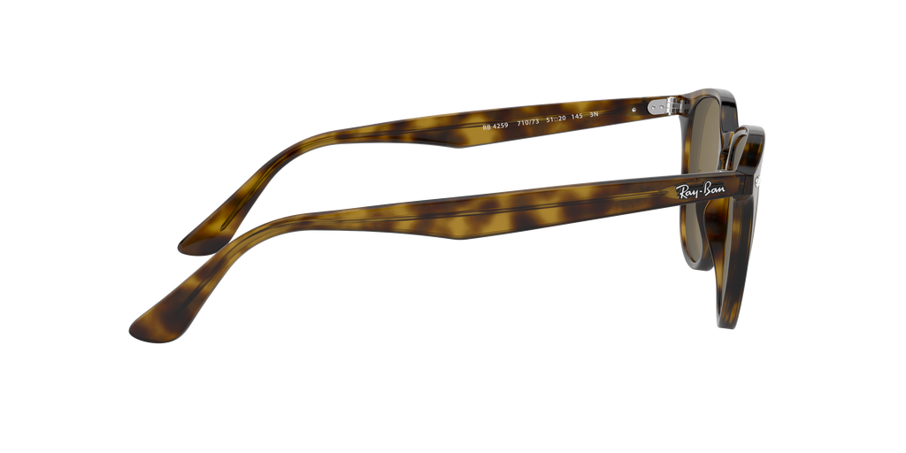 RB4259 - 710/73 sunglasses - view 11
