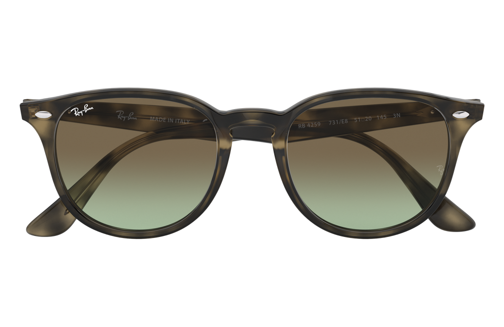 RB4259 - 731E8 sunglasses - view 16