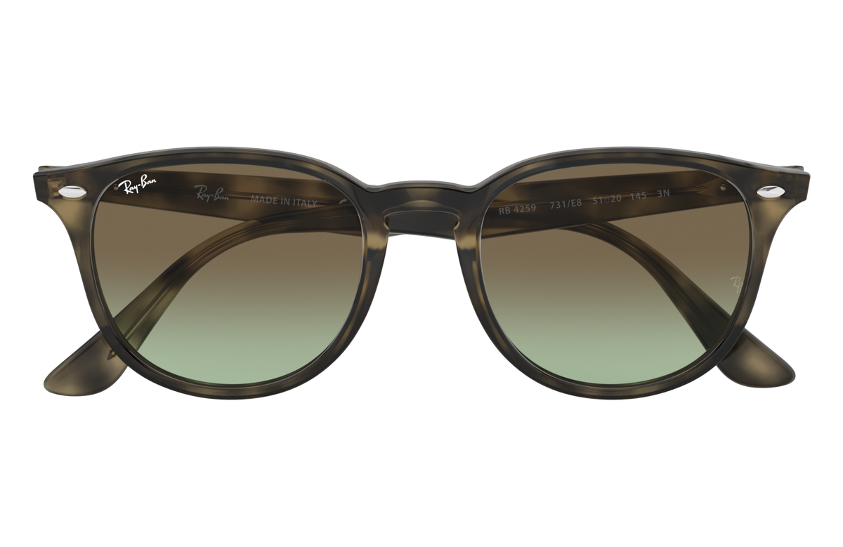 RB4259 - 731E8 sunglasses - view 16