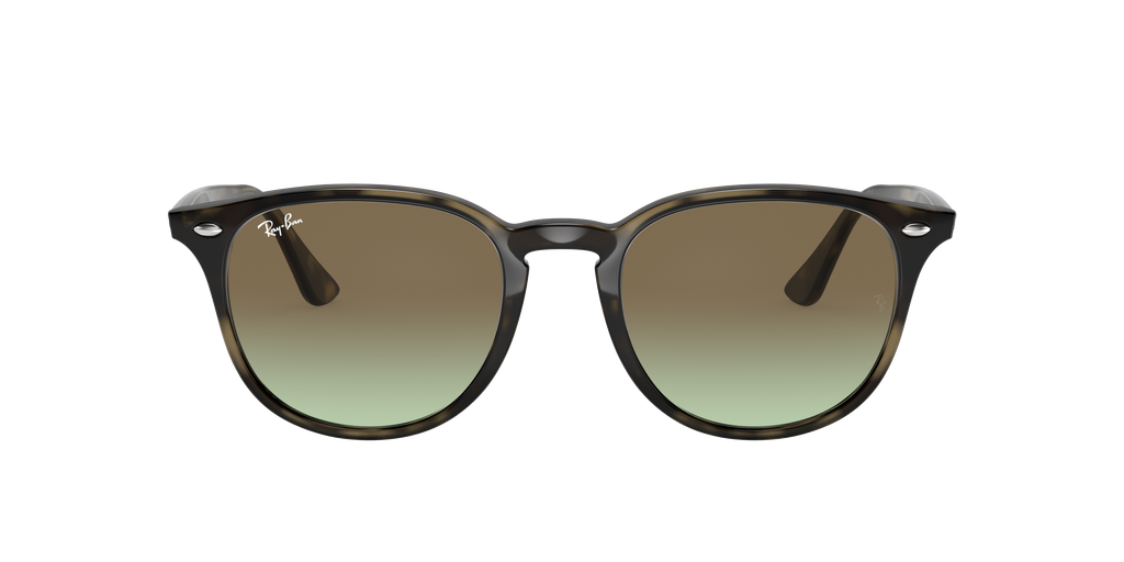 RB4259 - 731E8 sunglasses - view 18