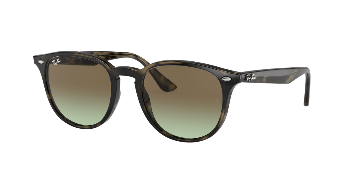 RB4259 - 731E8 sunglasses - view 19