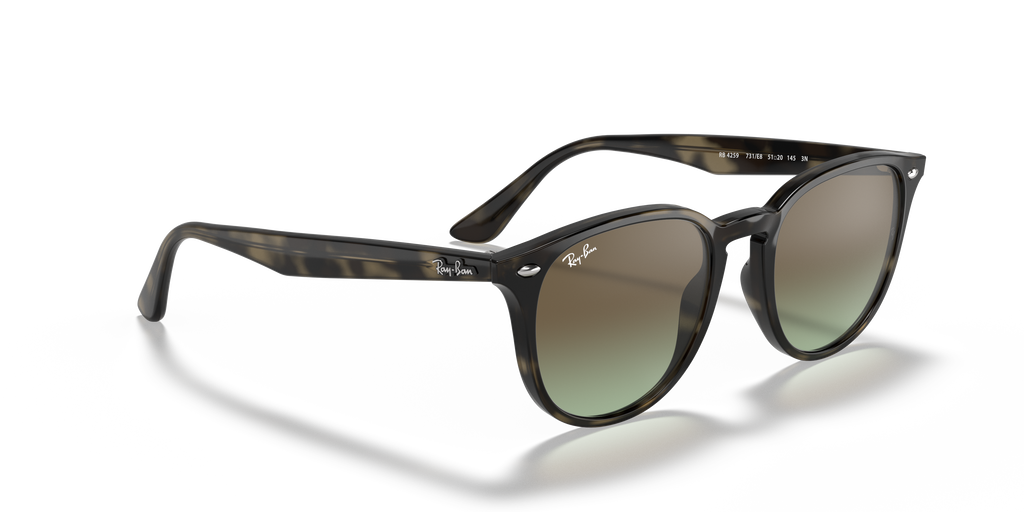 RB4259 - 731E8 sunglasses - view 20