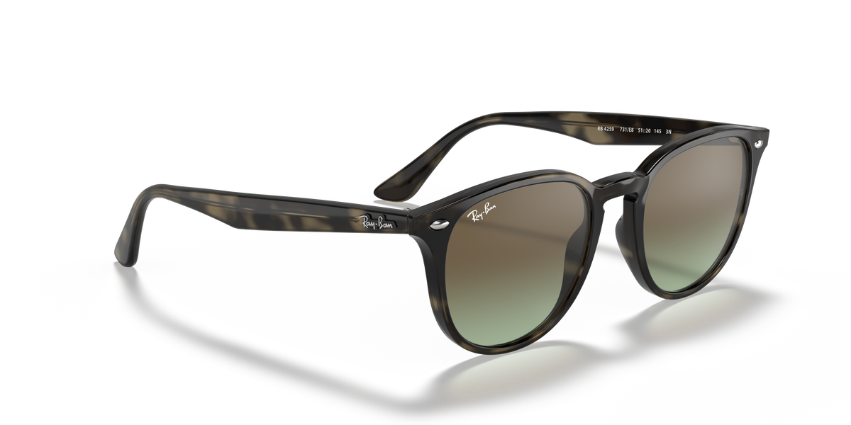 RB4259 - 731E8 sunglasses - view 20