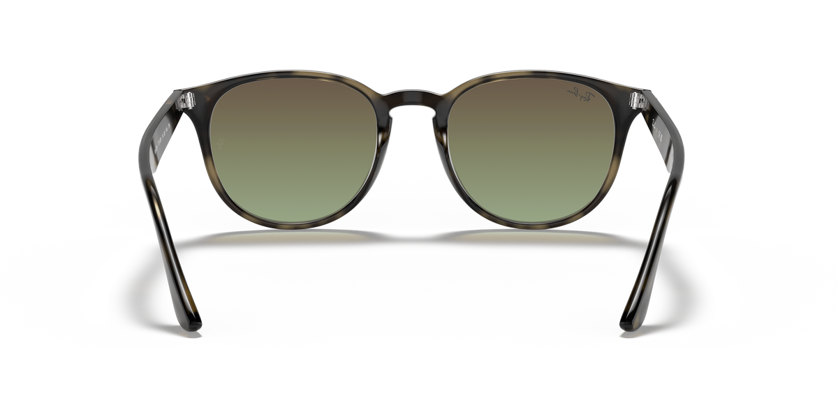 RB4259 - 731E8 sunglasses - view 21
