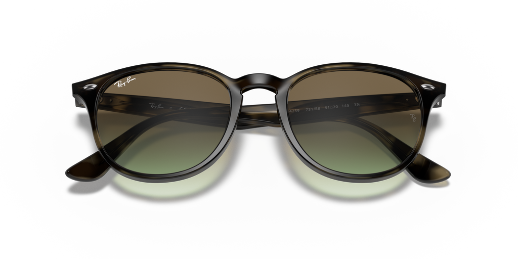RB4259 - 731E8 sunglasses - view 22