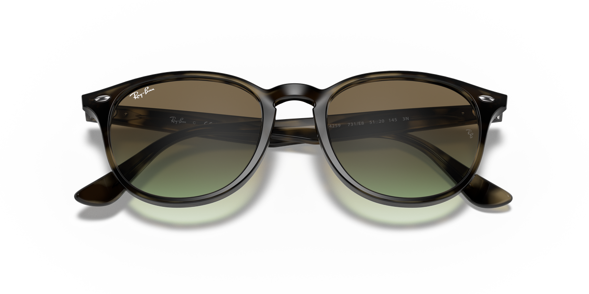 RB4259 - 731E8 sunglasses - view 22