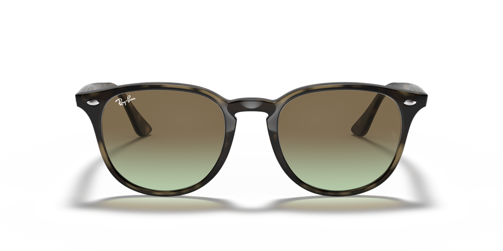 RB4259 - 731E8 sunglasses - view 23