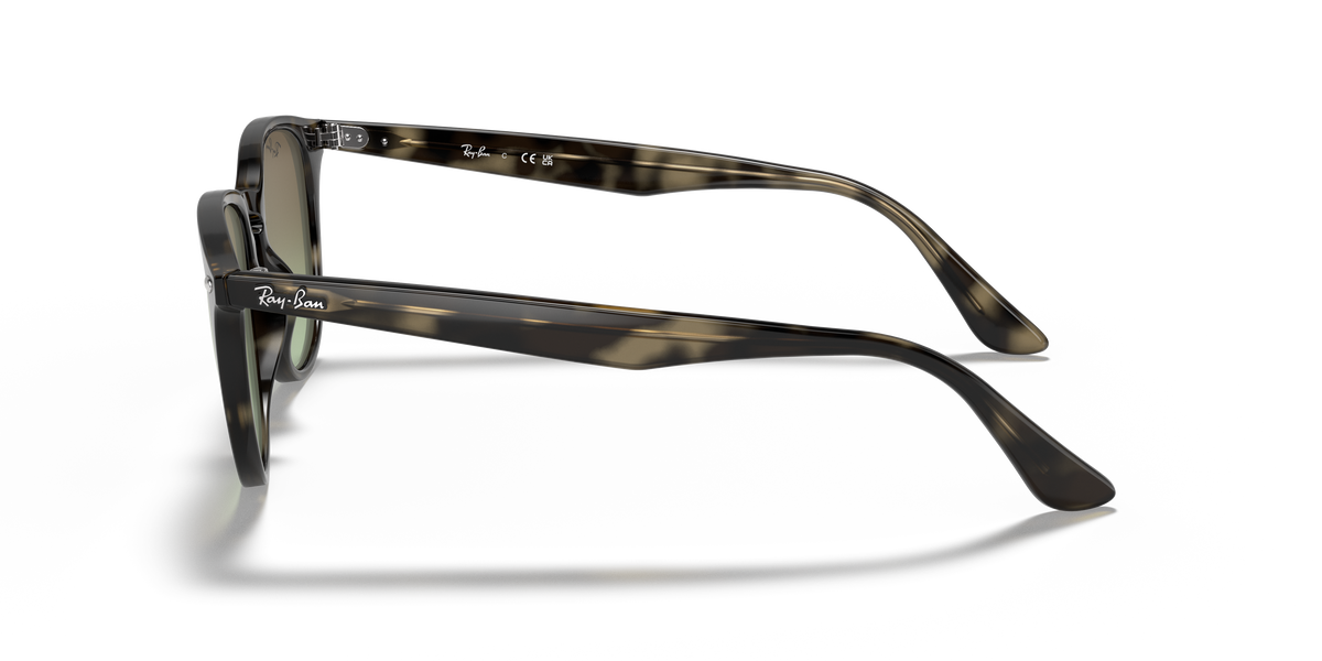 RB4259 - 731E8 sunglasses - view 24