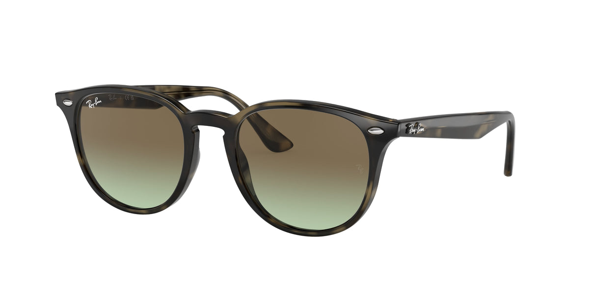 RB4259 - 731E8 sunglasses - view 1