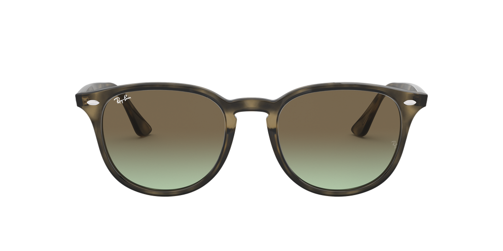 RB4259 - 731E8 sunglasses - view 2