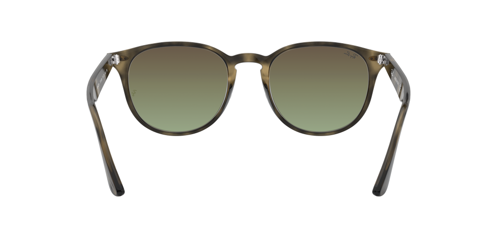 RB4259 - 731E8 sunglasses - view 8