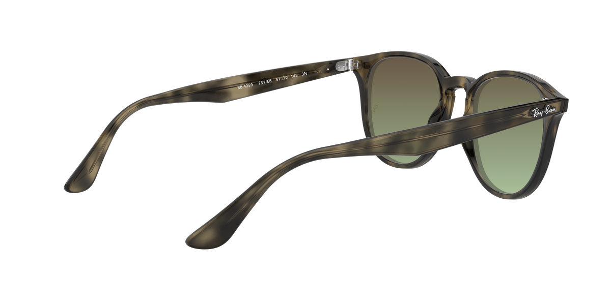 RB4259 - 731E8 sunglasses - view 10