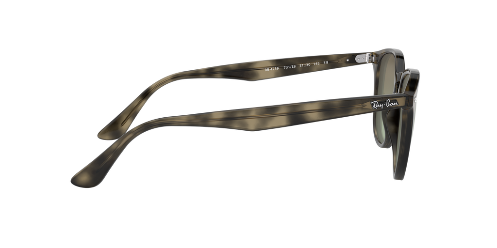 RB4259 - 731E8 sunglasses - view 11