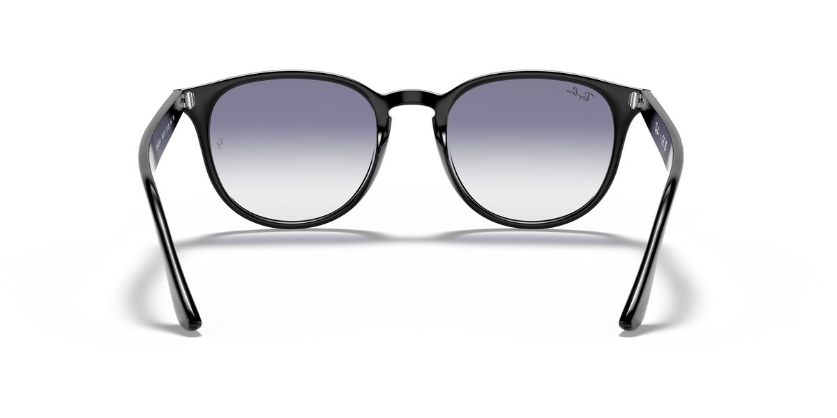 RB4259F - 601/19 sunglasses - view 18
