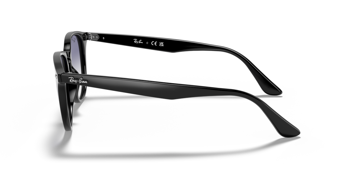 RB4259F - 601/19 sunglasses - view 21