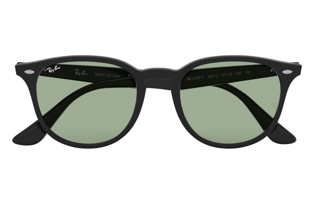 RB4259F - 6012 sunglasses - view 16
