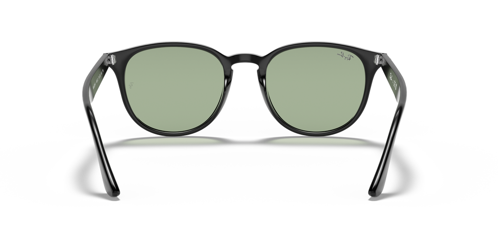 RB4259F - 6012 sunglasses - view 21
