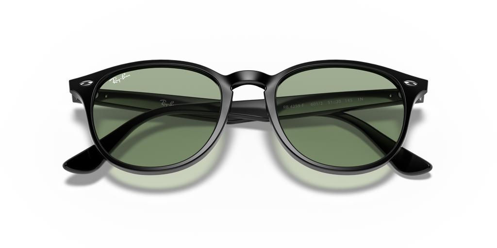 RB4259F - 6012 sunglasses - view 22