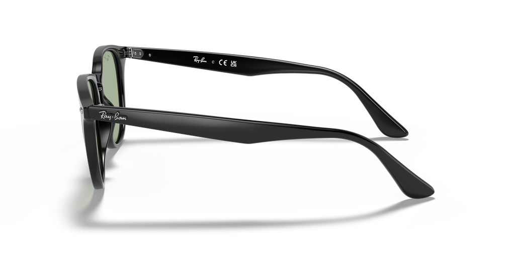 RB4259F - 6012 sunglasses - view 24