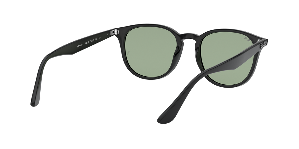 RB4259F - 6012 sunglasses - view 9
