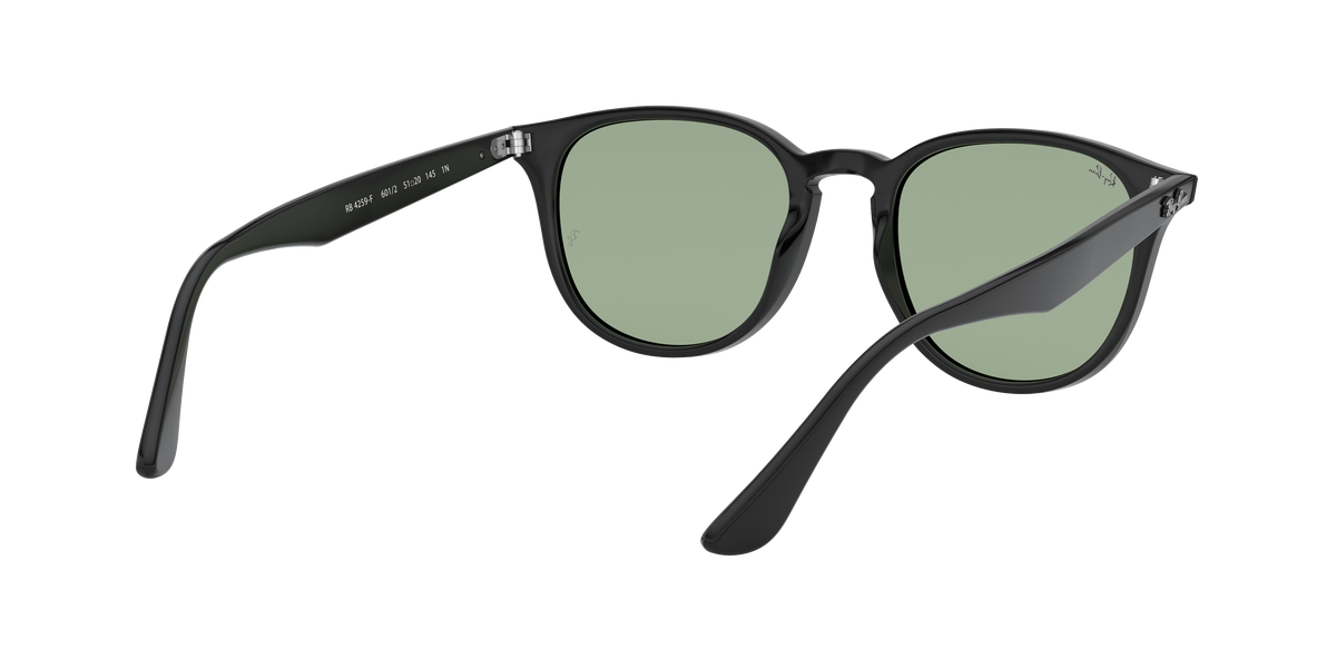 RB4259F - 6012 sunglasses - view 9