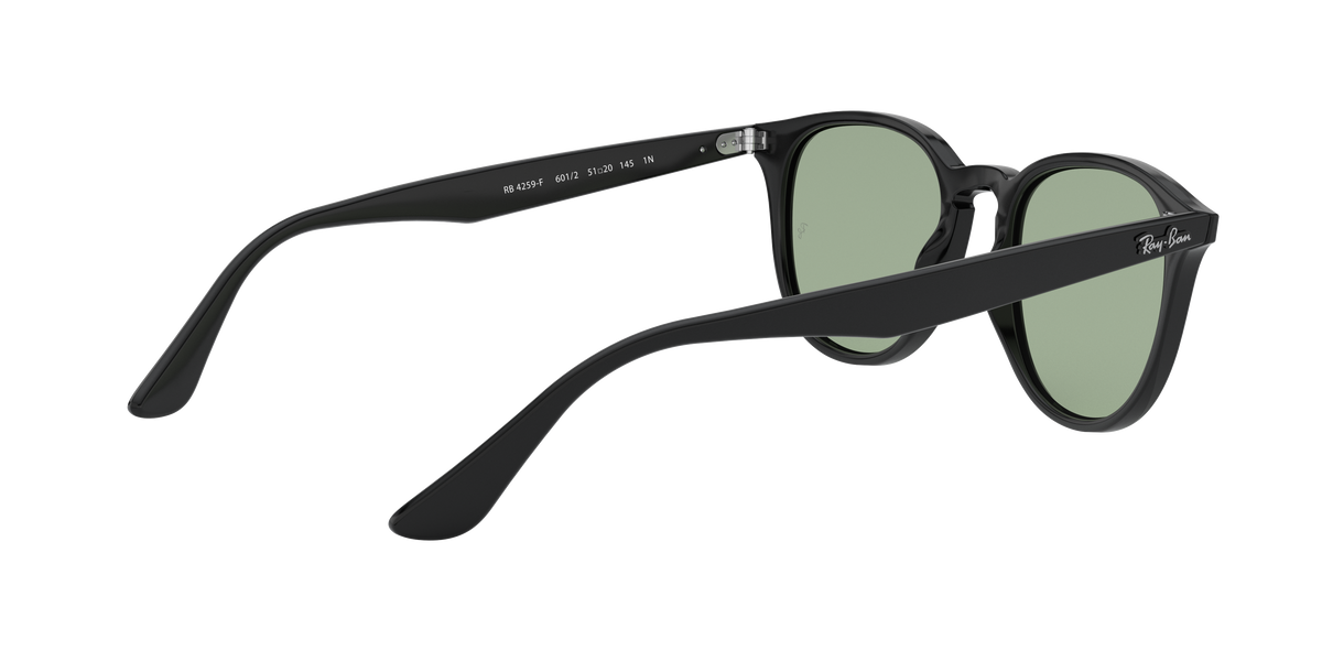 RB4259F - 6012 sunglasses - view 10