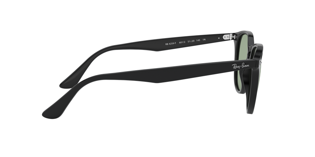 RB4259F - 6012 sunglasses - view 11
