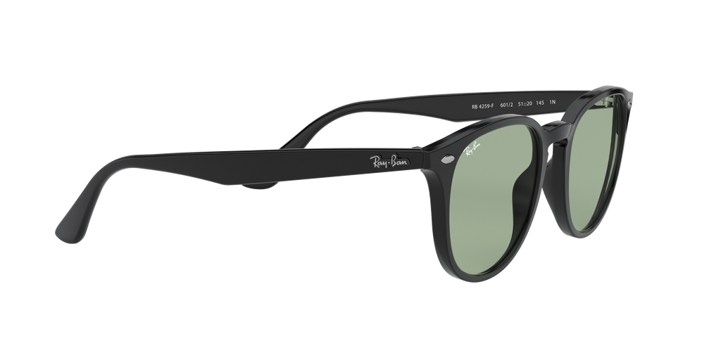 RB4259F - 6012 sunglasses - view 12