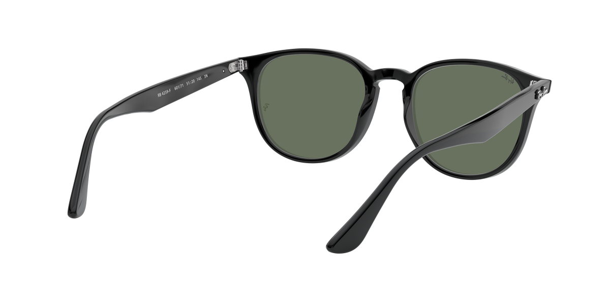 RB4259F - 60171 sunglasses - view 9
