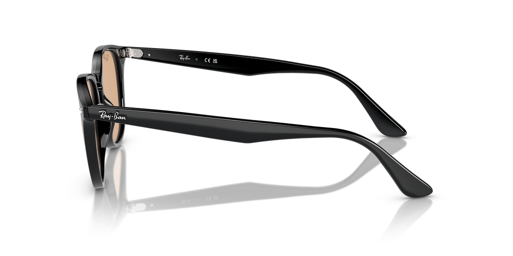 RB4259F - 60193 sunglasses - view 8