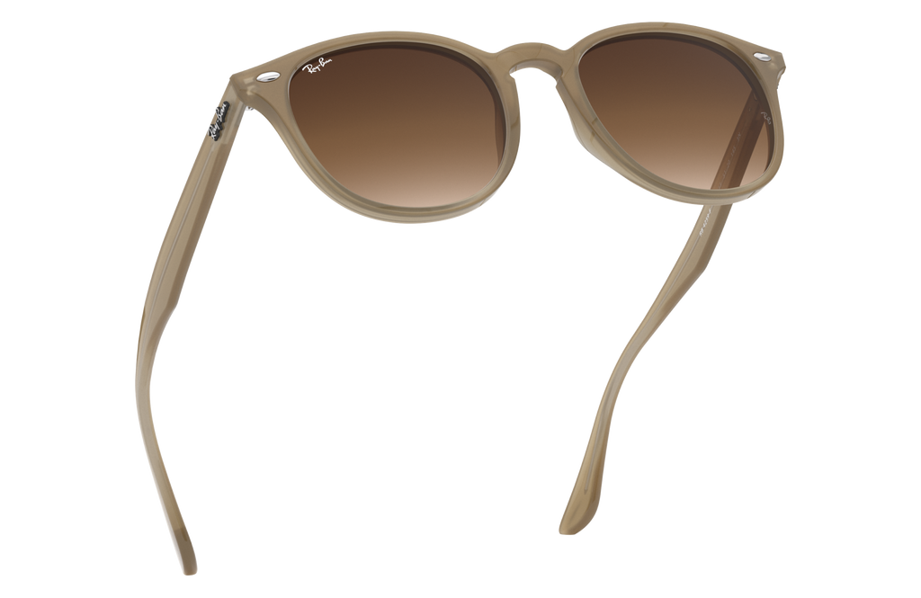 RB4259F - 616613 sunglasses - view 14