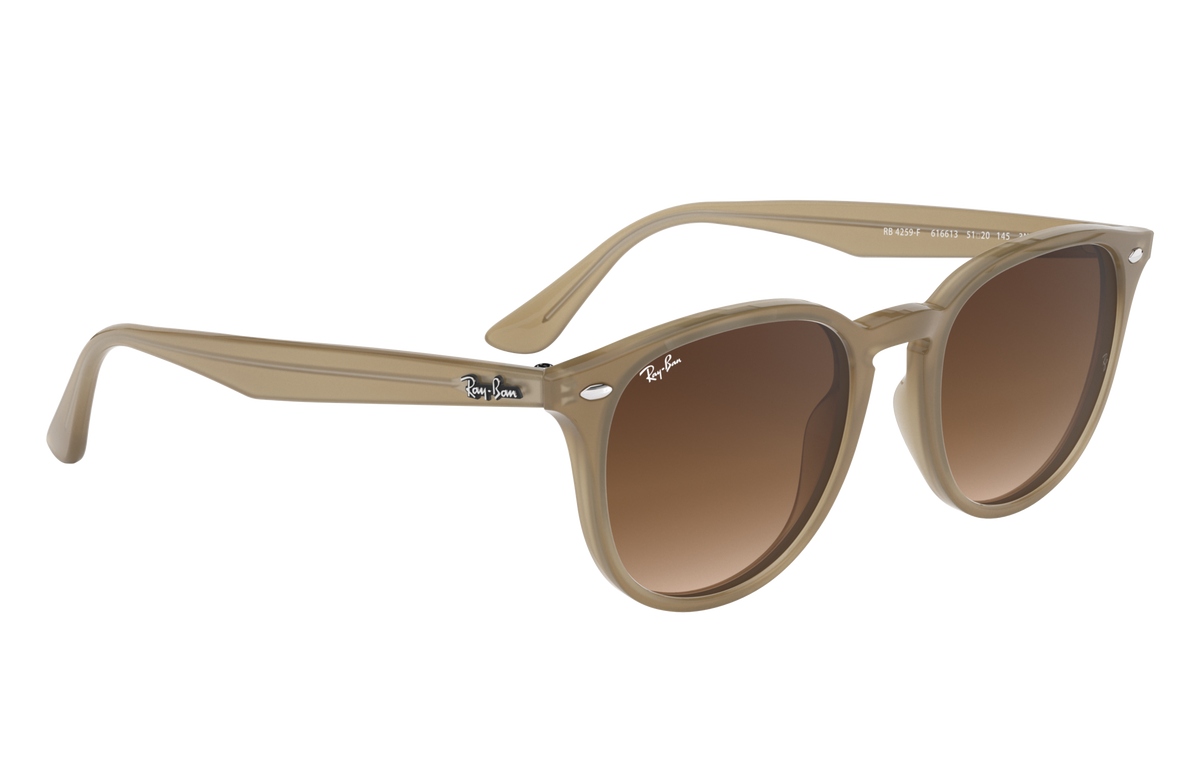 RB4259F - 616613 sunglasses - view 15