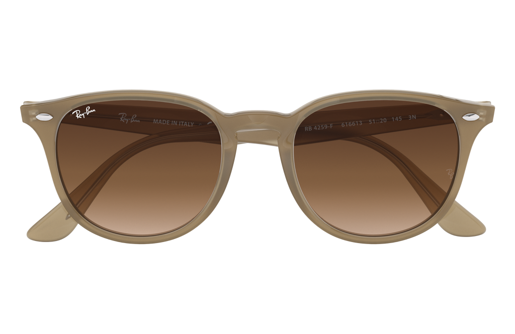 RB4259F - 616613 sunglasses - view 16