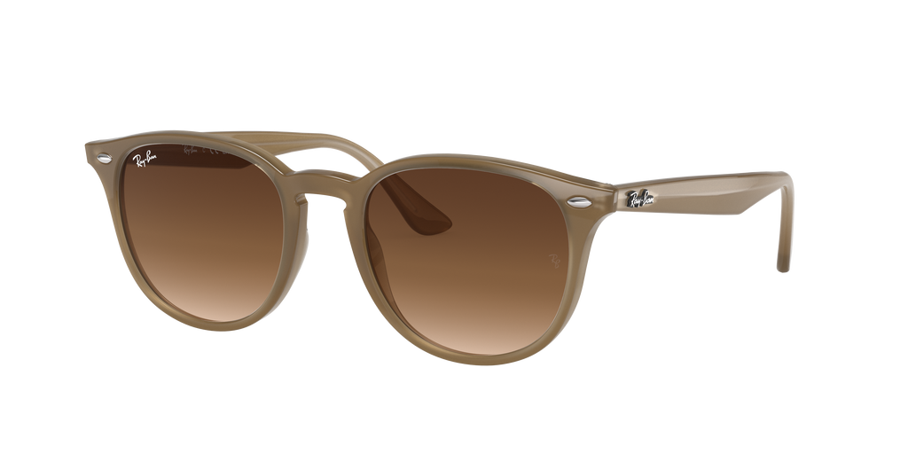 RB4259F - 616613 sunglasses - view 19