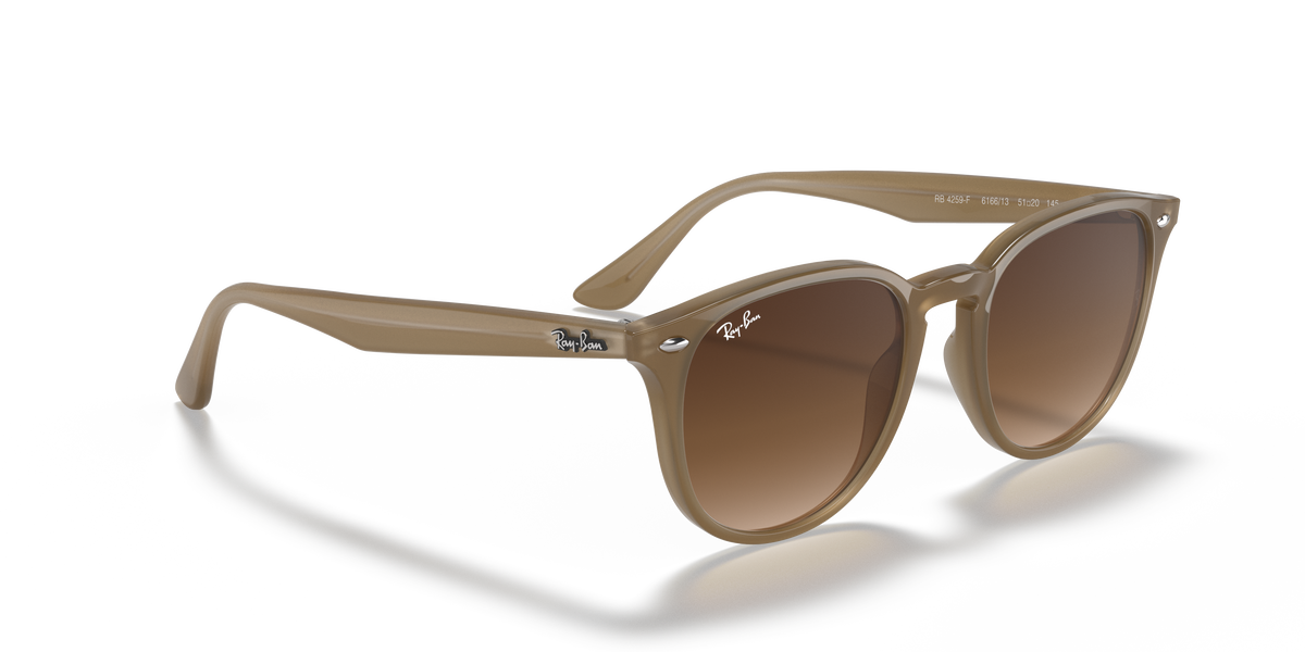 RB4259F - 616613 sunglasses - view 20