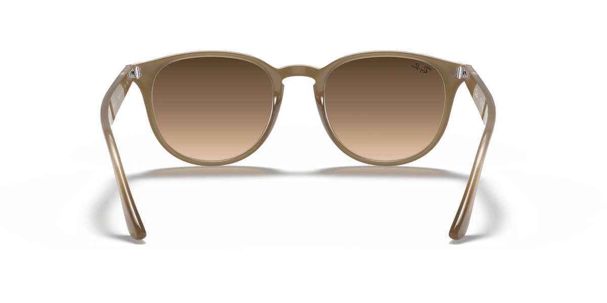 RB4259F - 616613 sunglasses - view 21