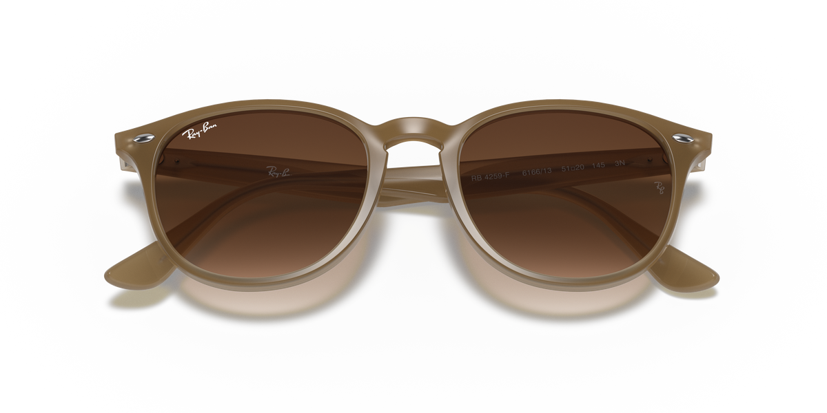 RB4259F - 616613 sunglasses - view 22