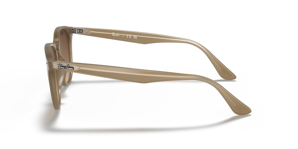 RB4259F - 616613 sunglasses - view 24